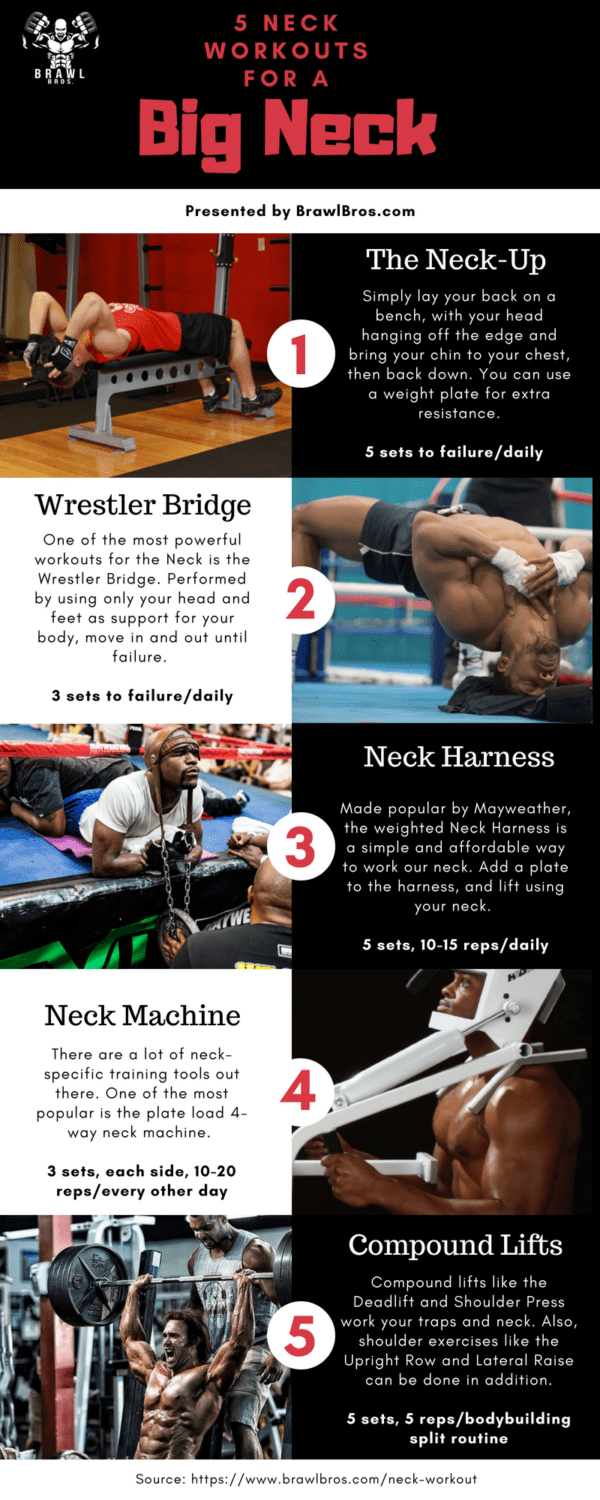 The Neck Workout, How to Get a Big and Strong Neck - BrawlBros.com
